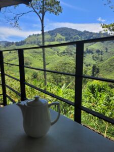 Read more about the article Cameron Highlands – Norddeutsches Nieselwetter in Malaysia