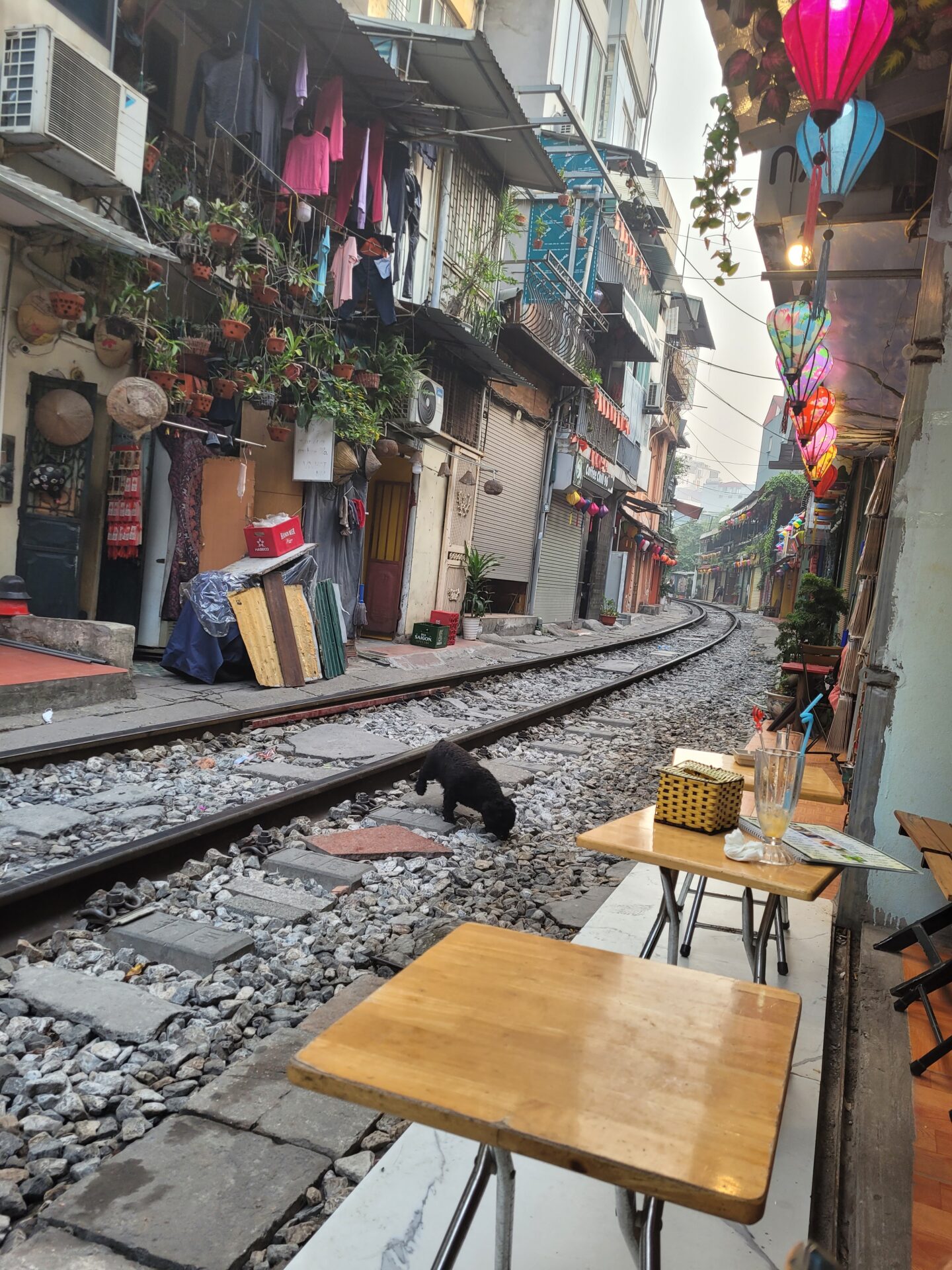 Read more about the article Moin Vietnam – Grenzübergang & Hanoi