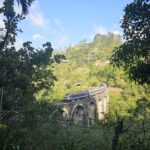 Wale, Safari, Wandern – Sri Lankas Vielfalt