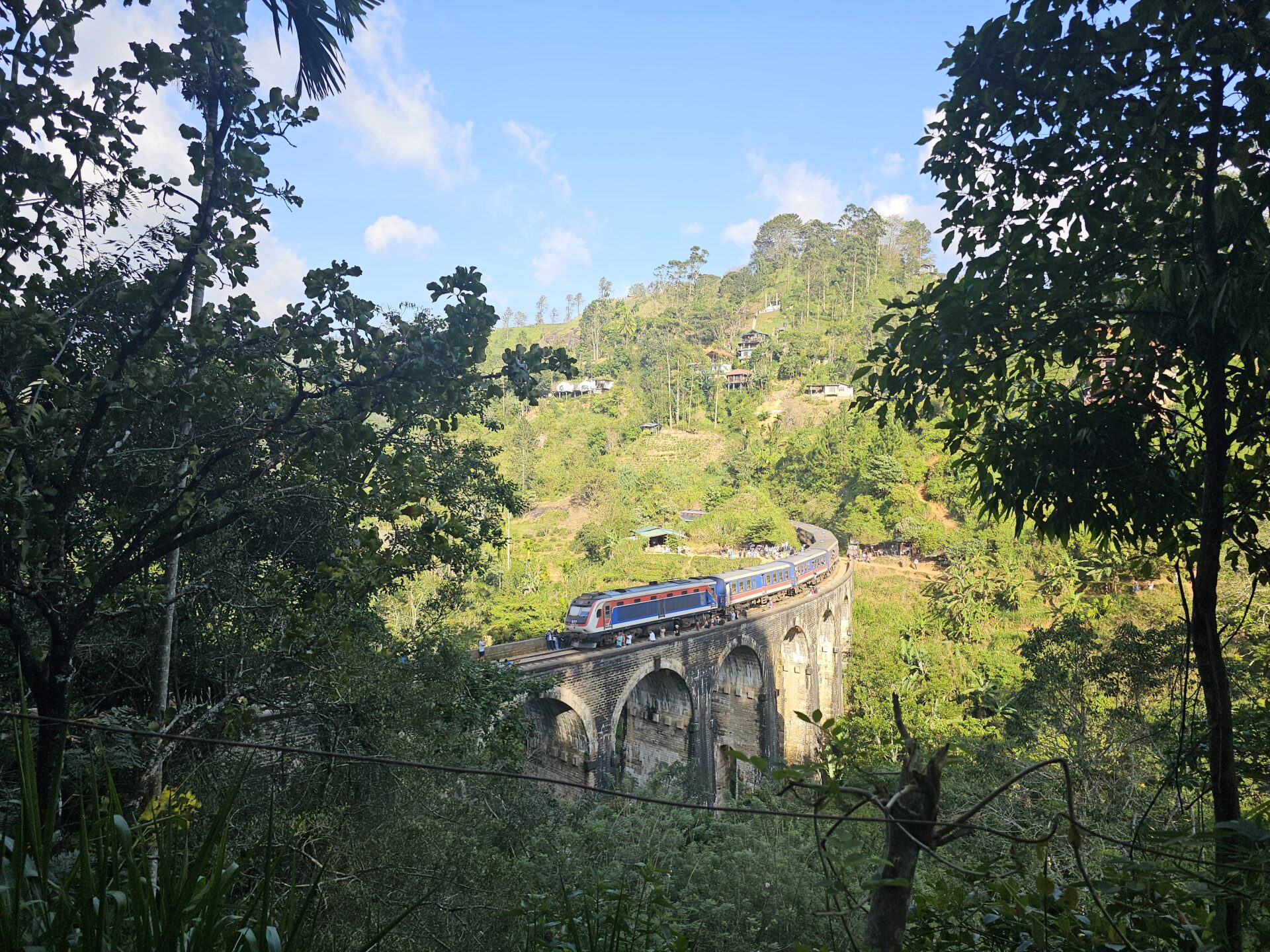 Read more about the article Wale, Safari, Wandern – Sri Lankas Vielfalt