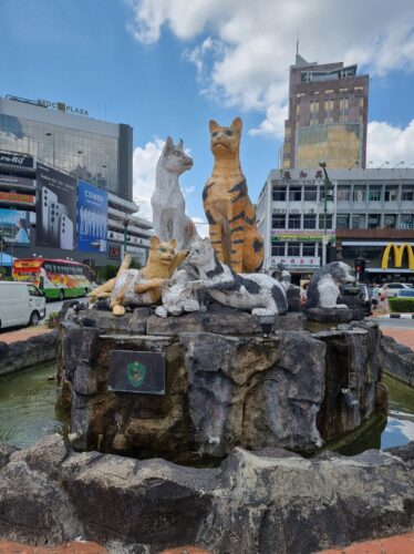 Kuching = Katze