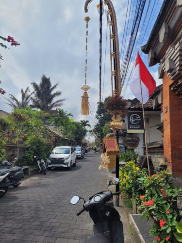 Ubud City