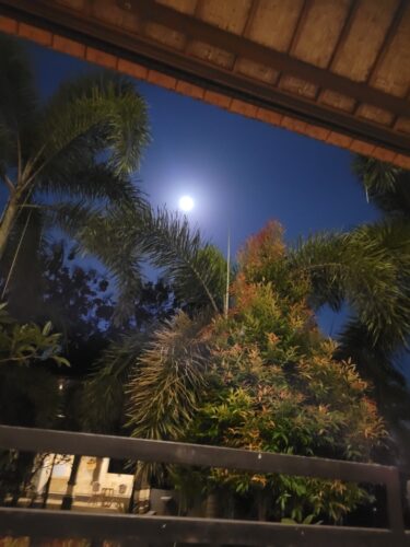 Vollmond